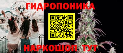 ПСИЛОЦИБИНОВЫЕ ГРИБЫ Аша