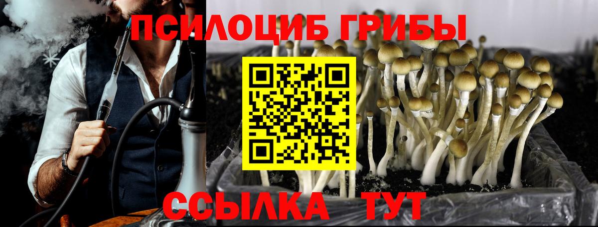 Бийск  Галлюциногенные грибы MAGIC MUSHROOMS  Вход с VPN 