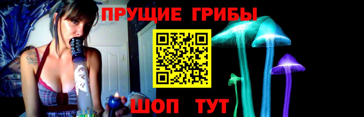 Псилоцибиновые грибы MAGIC MUSHROOMS Бийск